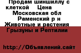 Продам шиншиллу с клеткой. › Цена ­ 7 000 - Московская обл., Раменский р-н Животные и растения » Грызуны и Рептилии   